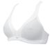 DEBH Linette WZ B-Cup