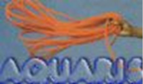 WRG Rettungswurfleine