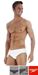 SMB7 Badehose Speedo Logo Y130