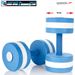 WGH Aqua Dumbbells Round