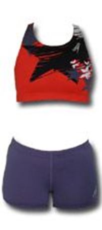 SWS2 Speedo Ostarna RT